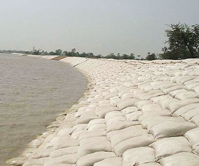 Shoreline protection geobags