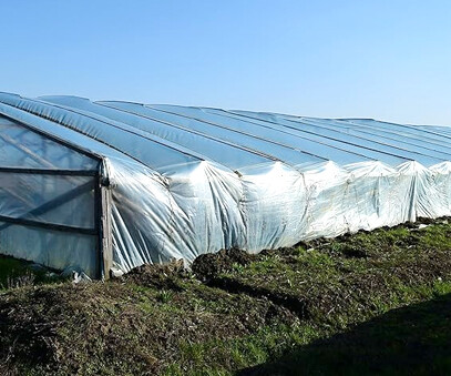 PE moisture-proof film