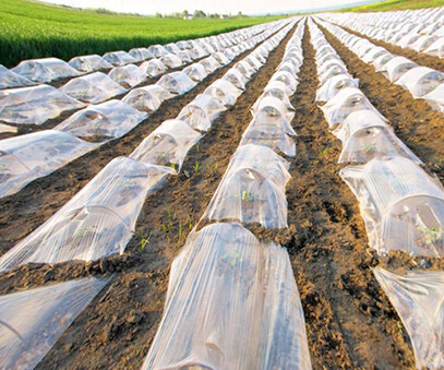 Greenhouse plastic film