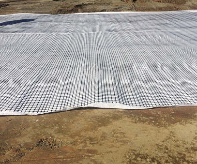Composite geogrid