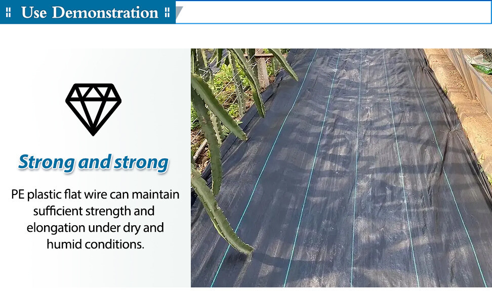 详情页_01.jpg 详情页_01.jpg