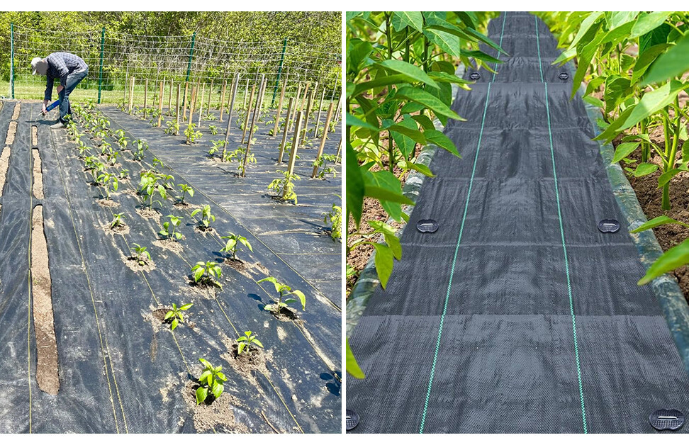 详情页_05.jpg 详情页_05.jpg