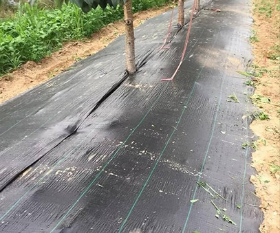 Black UV-proof weed-proof cloth