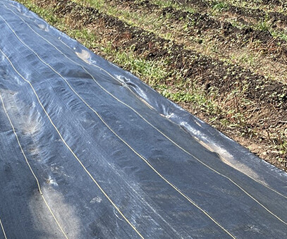 Black UV-proof weed-proof cloth