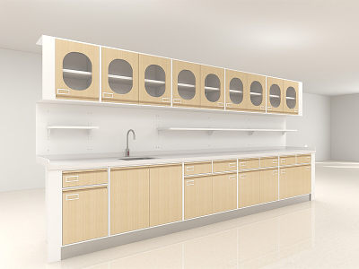 Durable Hospital Storage Cabinets for Medical Facilities Durable Hospital Storage Cabinets for Medical Facilities
