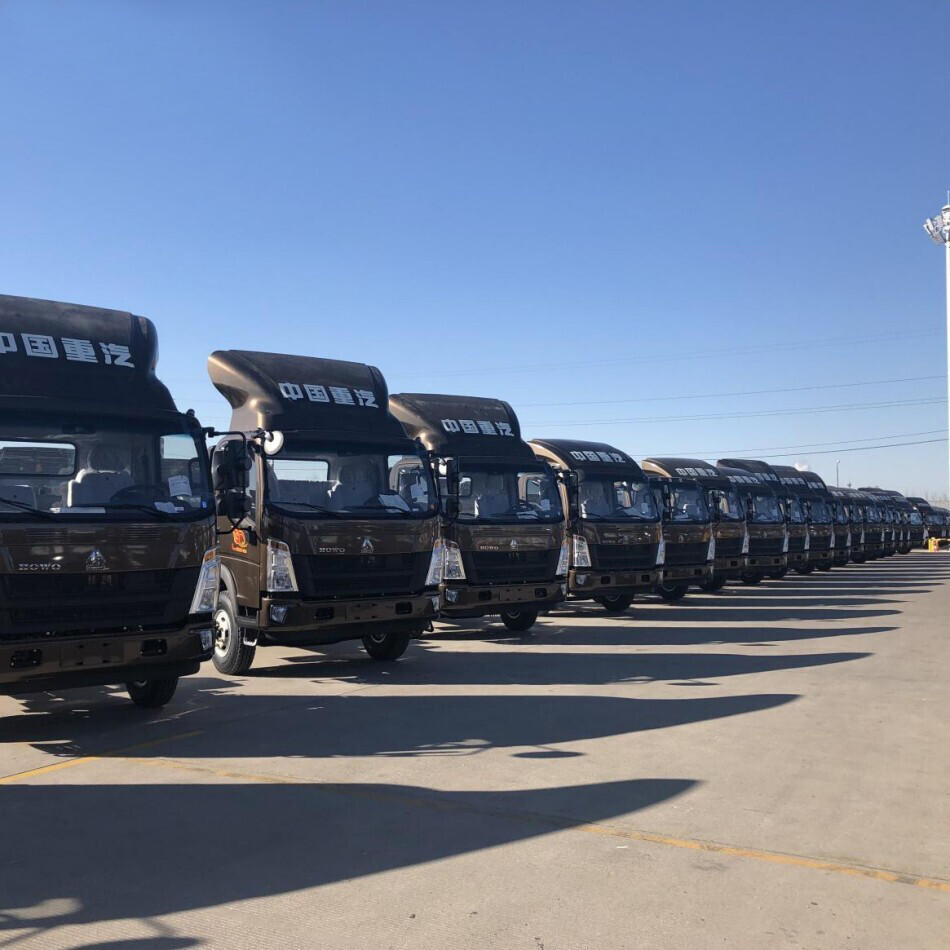 30 units light dump truck to Ethiopia