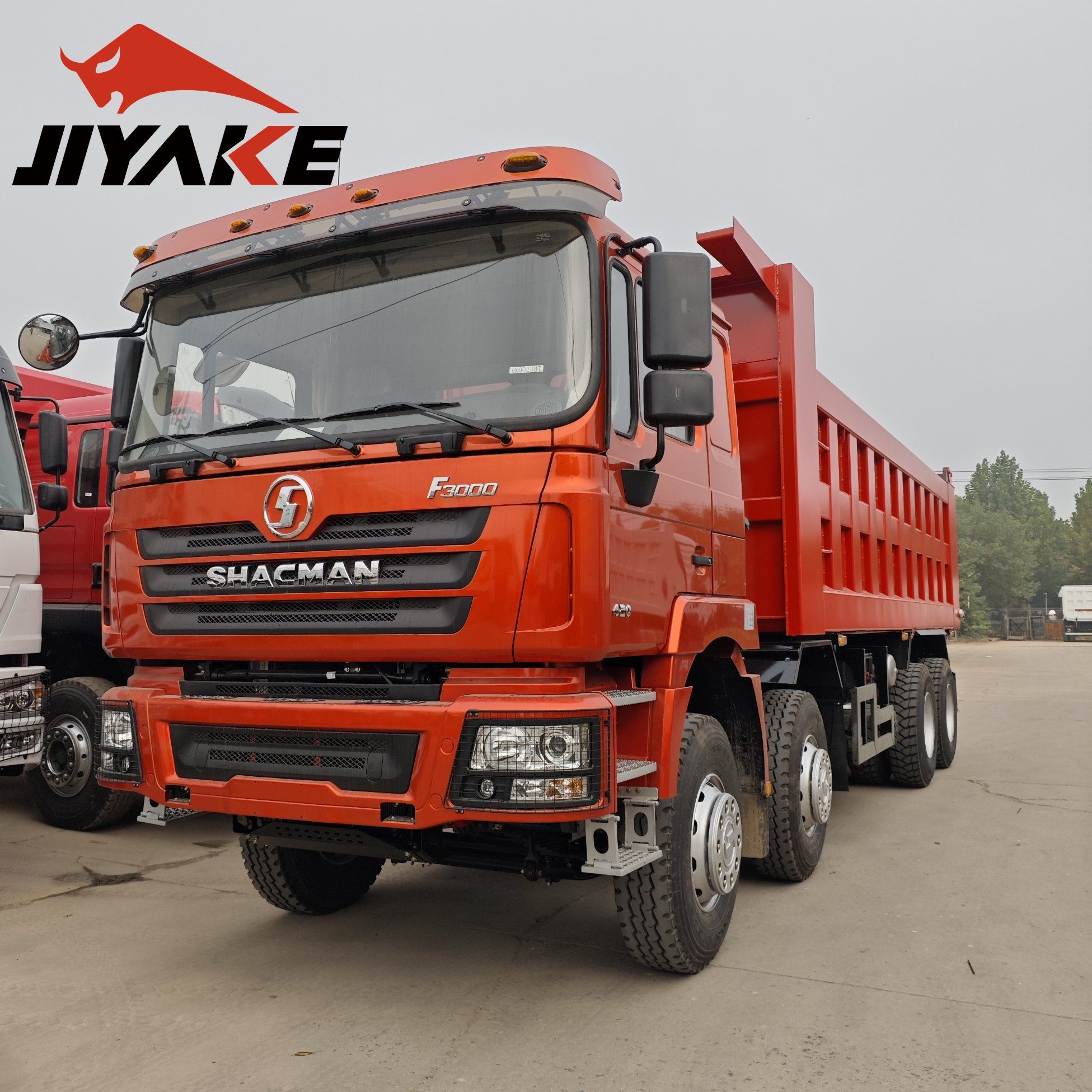 8X4 F3000 Shacman Dump Truck