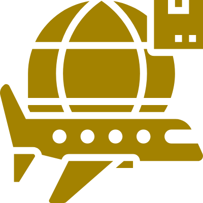 12_icon_overseas_plane_gold