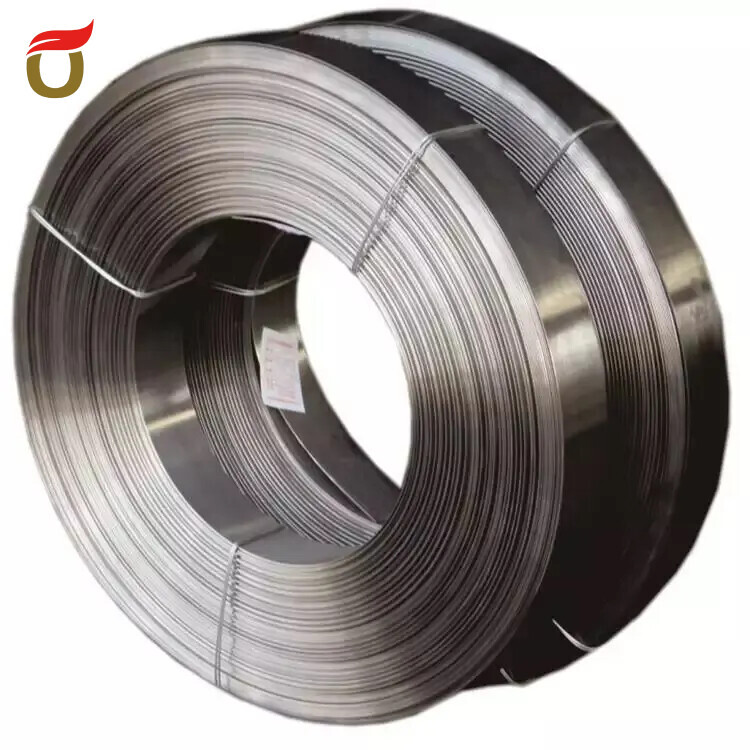 Customized Cold Rolled Thin Steel Strip Durable Spring Steel for Various Purposes