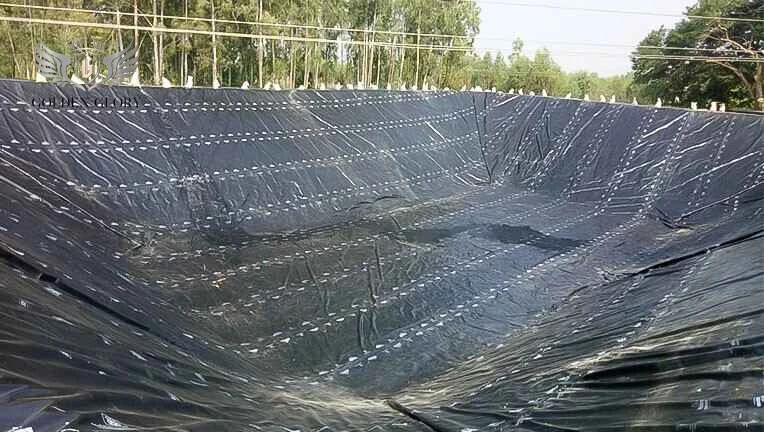 غشاء أرضي من البولي إيثيلين عالي الكثافة باللون الأسود لمزارع الروبيان