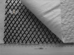 شبكة الصرف الصحي المركبة ثلاثية الأبعاد Geonet Geocomposite