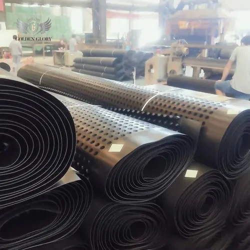 لوح تصريف HDPE Geocomposite مخصص من المصنع لعزل المياه يستخدم في حدائق الأسطح والعشب ومكبات النفايات وهندسة معالجة المياه