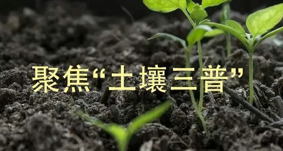 Application of Fully Automatic Soil Organic Matter Analyzer in Detection 【 Jinan Shengtai Technology ST308G Soil Organic Matter Analyzer 】