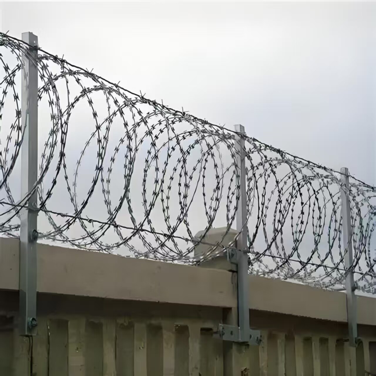 980 coil diameter galvanized razor wire, 10 m length