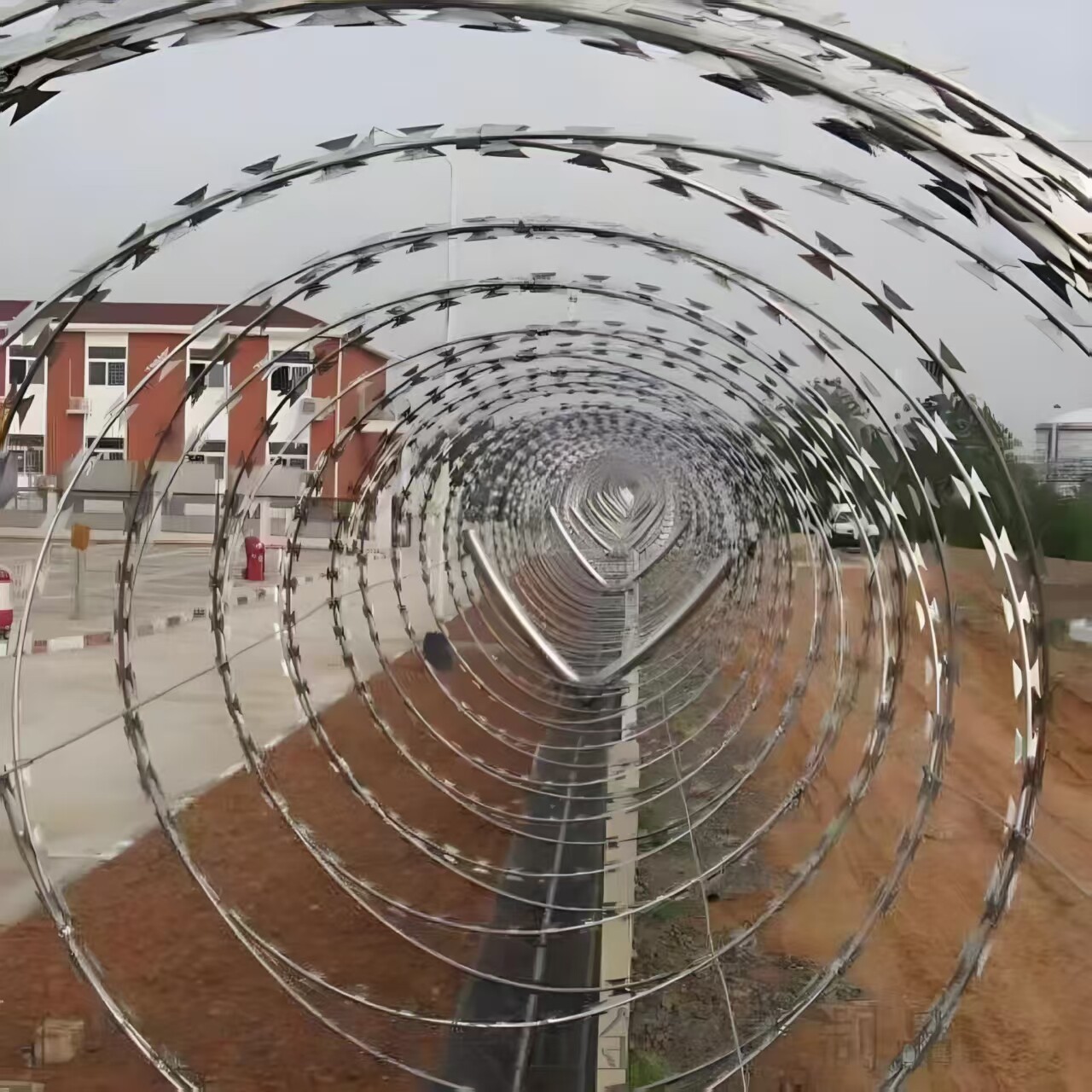 980 coil diameter galvanized razor wire, 10 m length