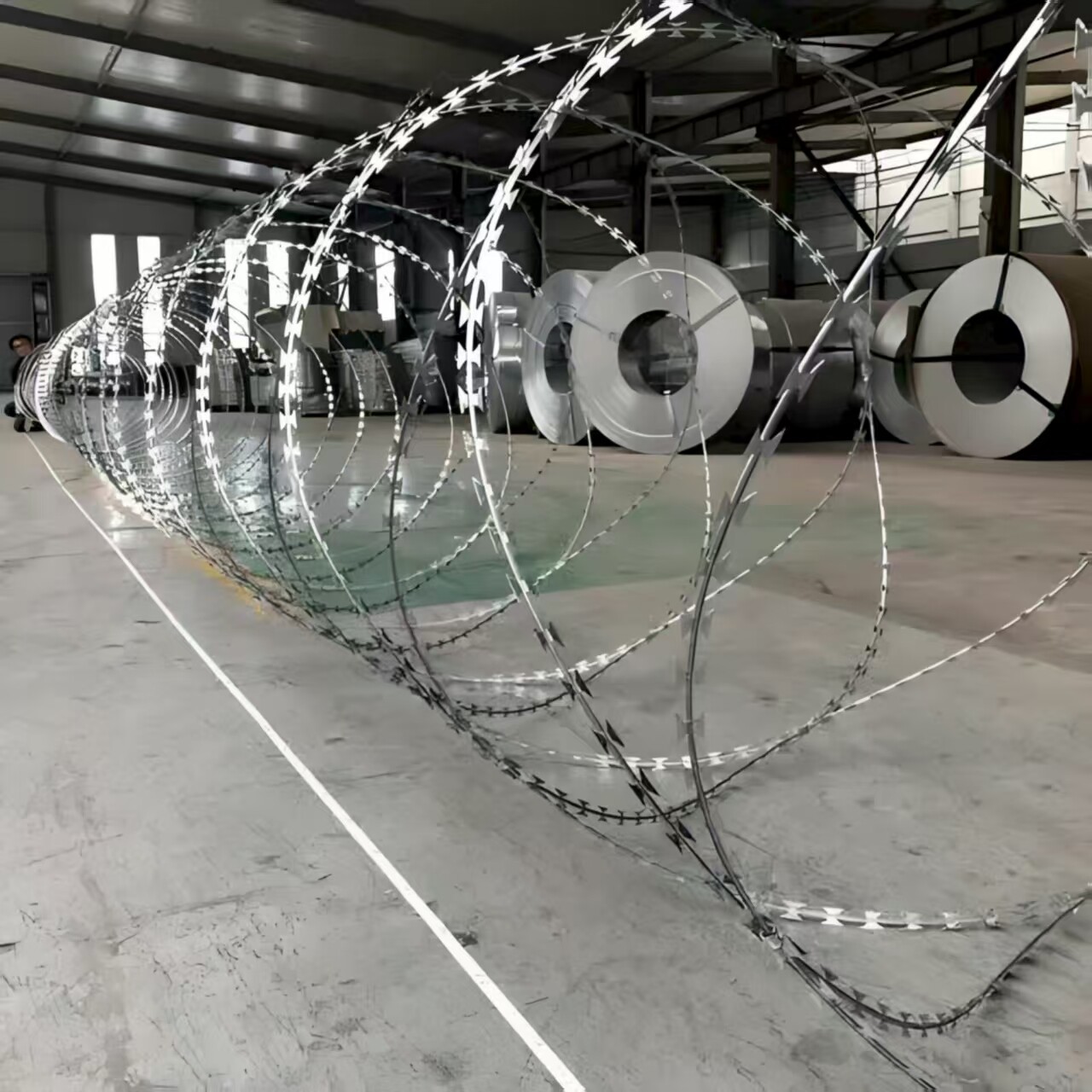 980 coil diameter galvanized razor wire, 10 m length