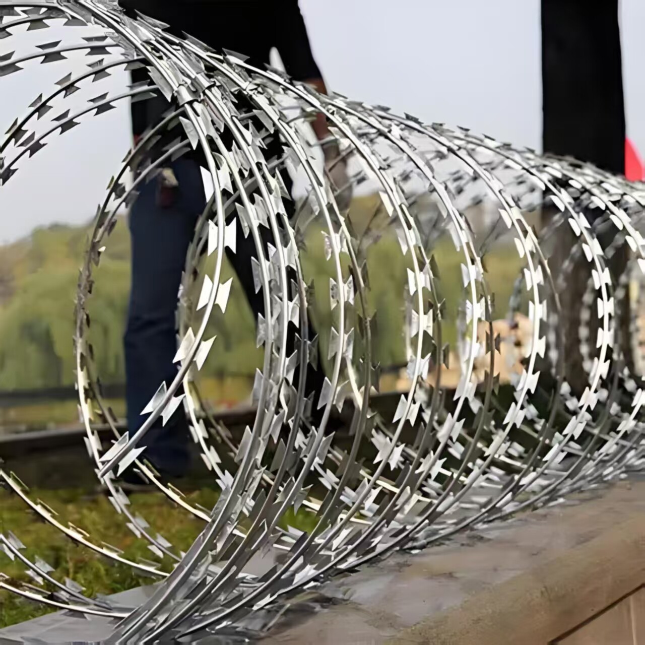 2240 m length galvanized medium barb razor wire 900 mm coil diameter.