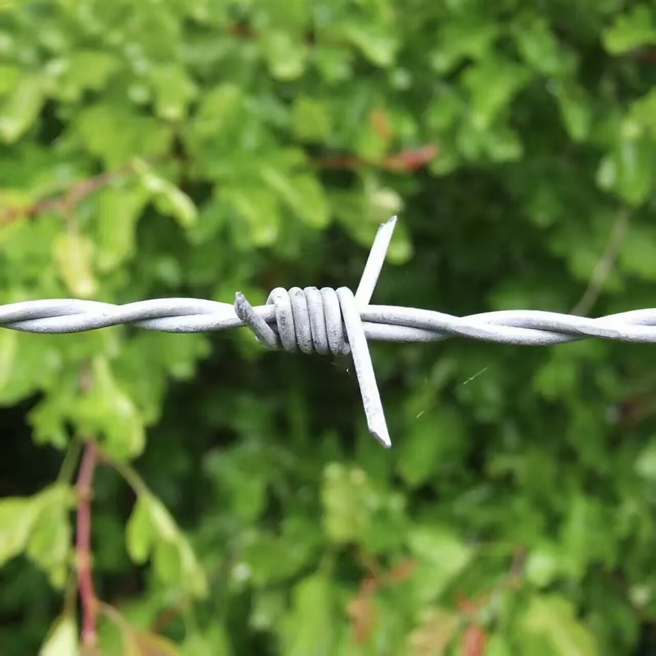 16 Gauge 4 Point Barbed Wire Fence, Silver Steel,328FT (100m)