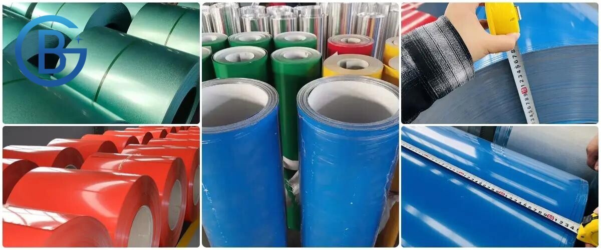 1742540584021.jpg 1742540584021.jpg