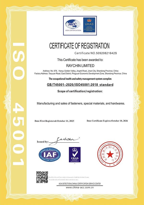 RAYCHIN ISO45001.jpg