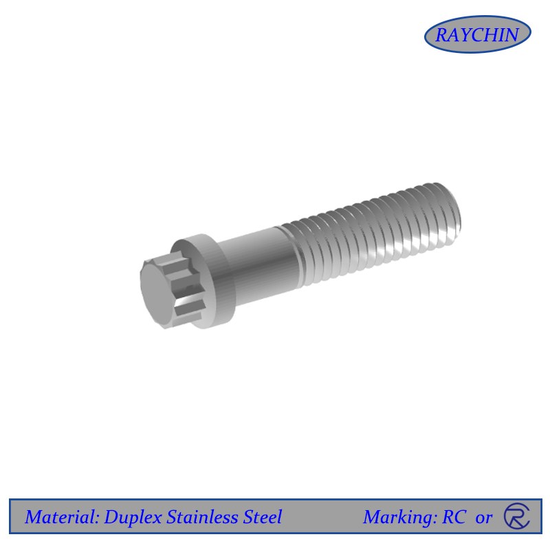 Duplex Stainless Steel Fasteners