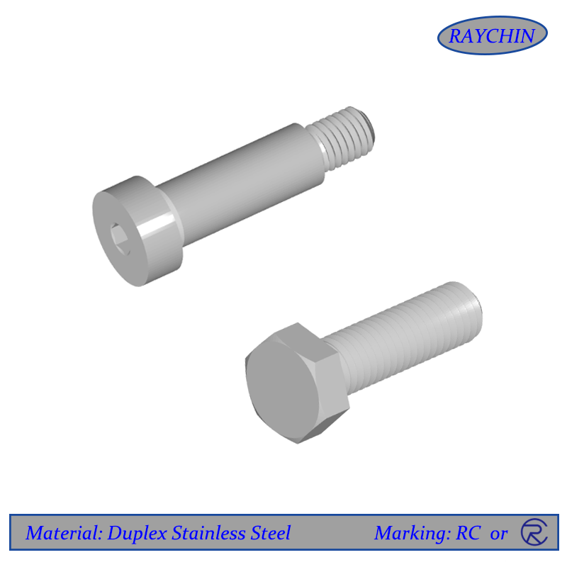 Duplex Stainless Steel Fasteners