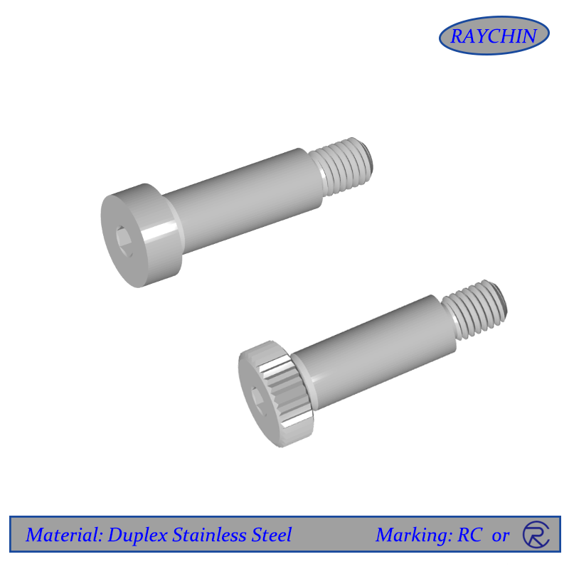 Duplex Stainless Steel Fasteners