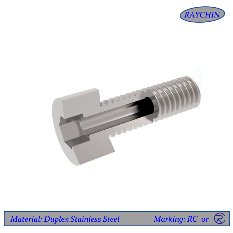 Duplex Stainless Steel Fasteners
