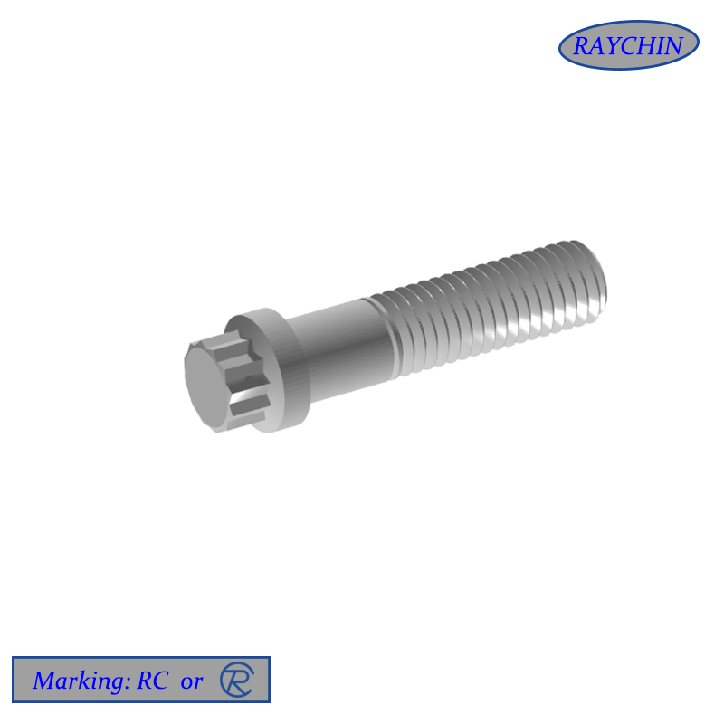 12 Point Bolts