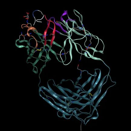 Released！Diagnostic materials for Alzheimer's disease