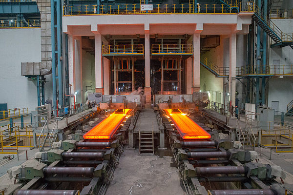 工厂  التنوع البيولوجي في خطر.