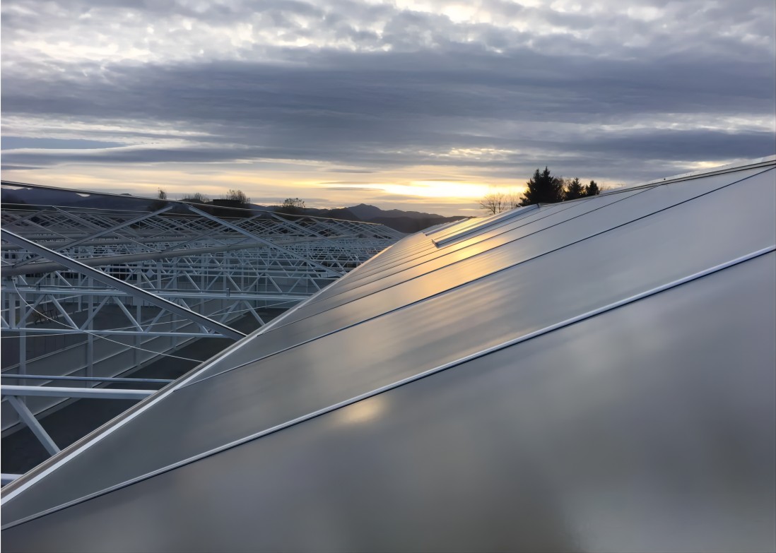 图片 7.png 图片 7.png