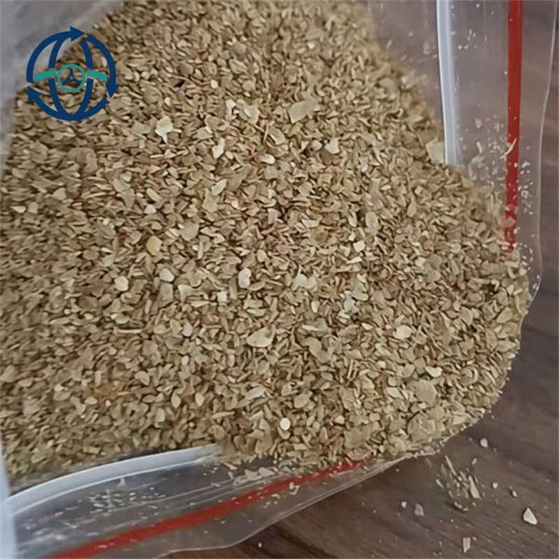 Corn Germ