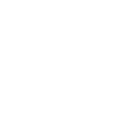icon／coinsd.png