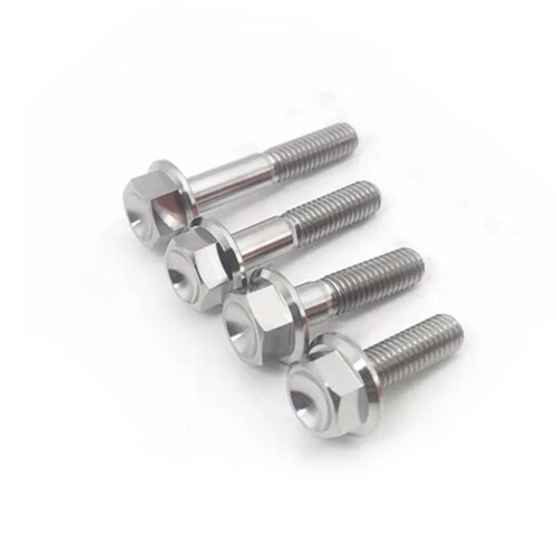 Titane Hexagon Flange Fasteners/Bolt/Screws