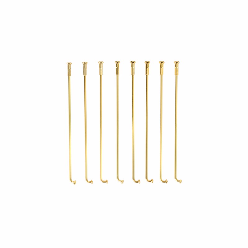 Superior Quality Motorcycle Spare Parts Stainless Steel Spokes and Nipples