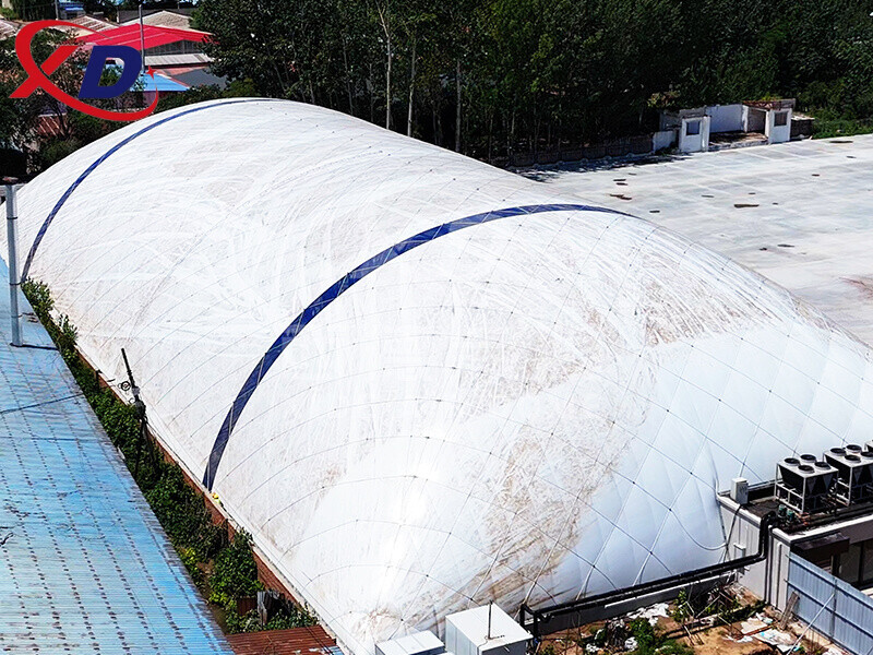 High Quality Customized Inflatable Air Dome Event Outdoor Advertising Promotional Dome Inflatable Canopy Air-Supported Structure