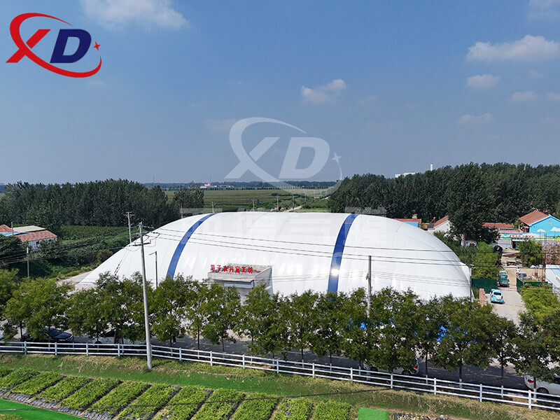 Air Dome Structure Roof Building Sports Hall/Basketball Court/Football Stadium