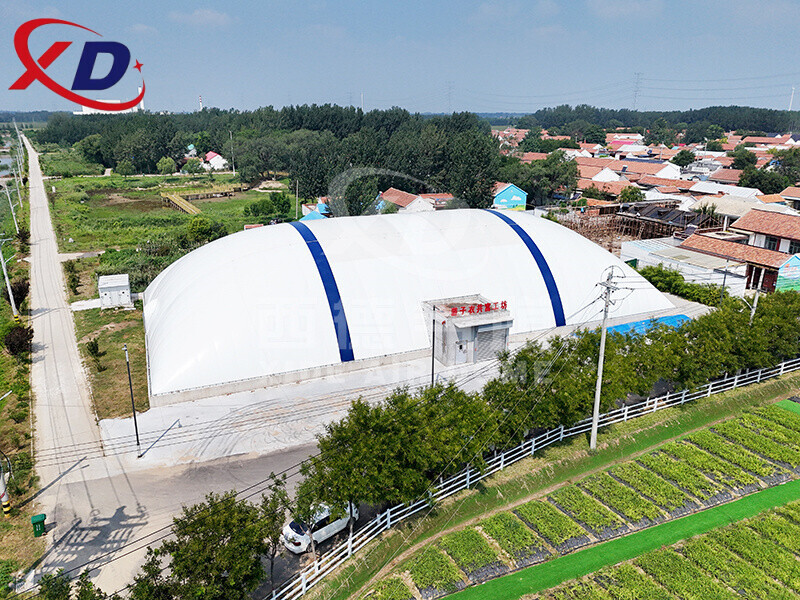 Air Dome Structure Roof Building Sports Hall/Basketball Court/Football Stadium