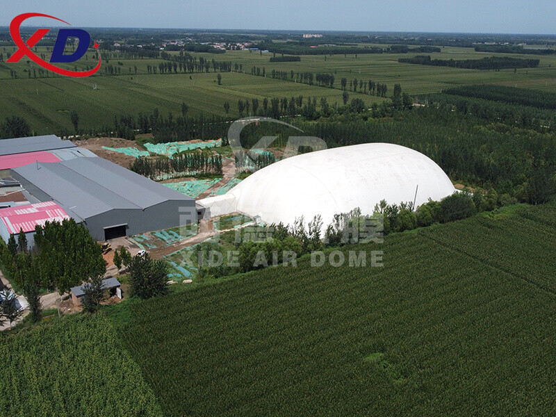 Xingtai Polluted Soil Treatment