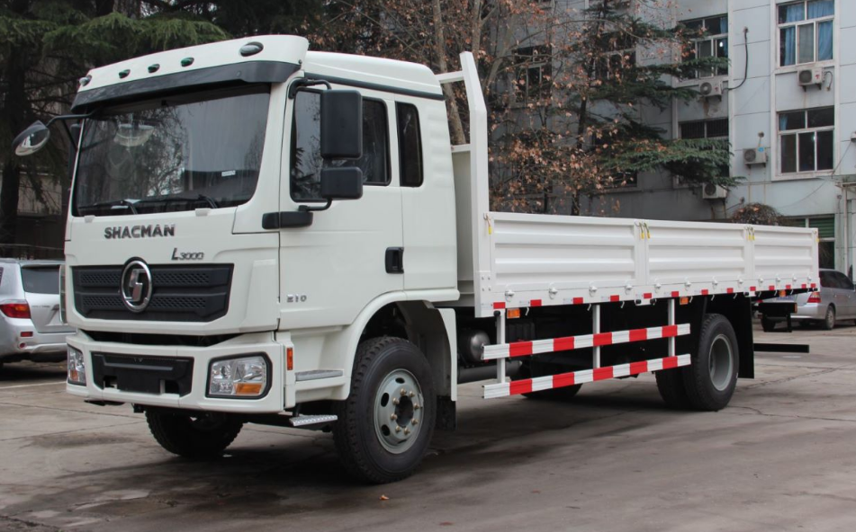 L3000 4X2 Cargo Truck