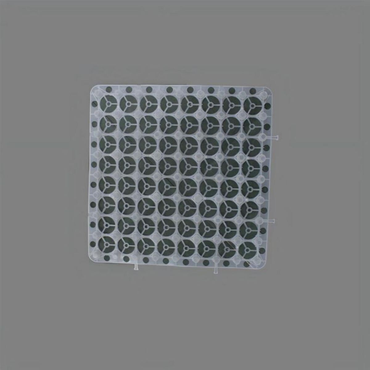 Drainage Board with Water Storage