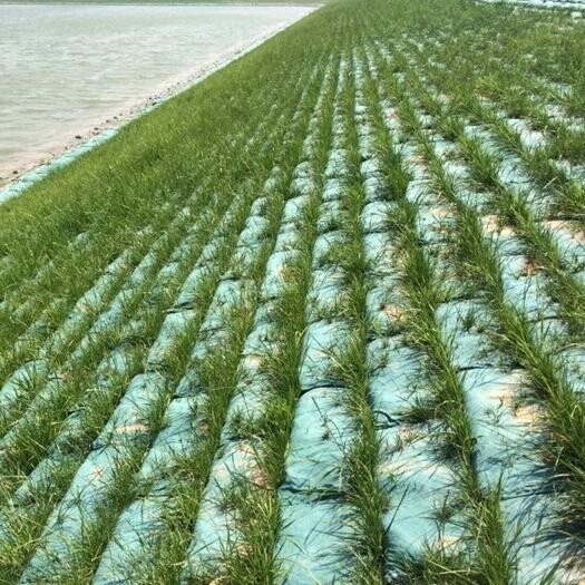 Grass Seed Ecological Bag