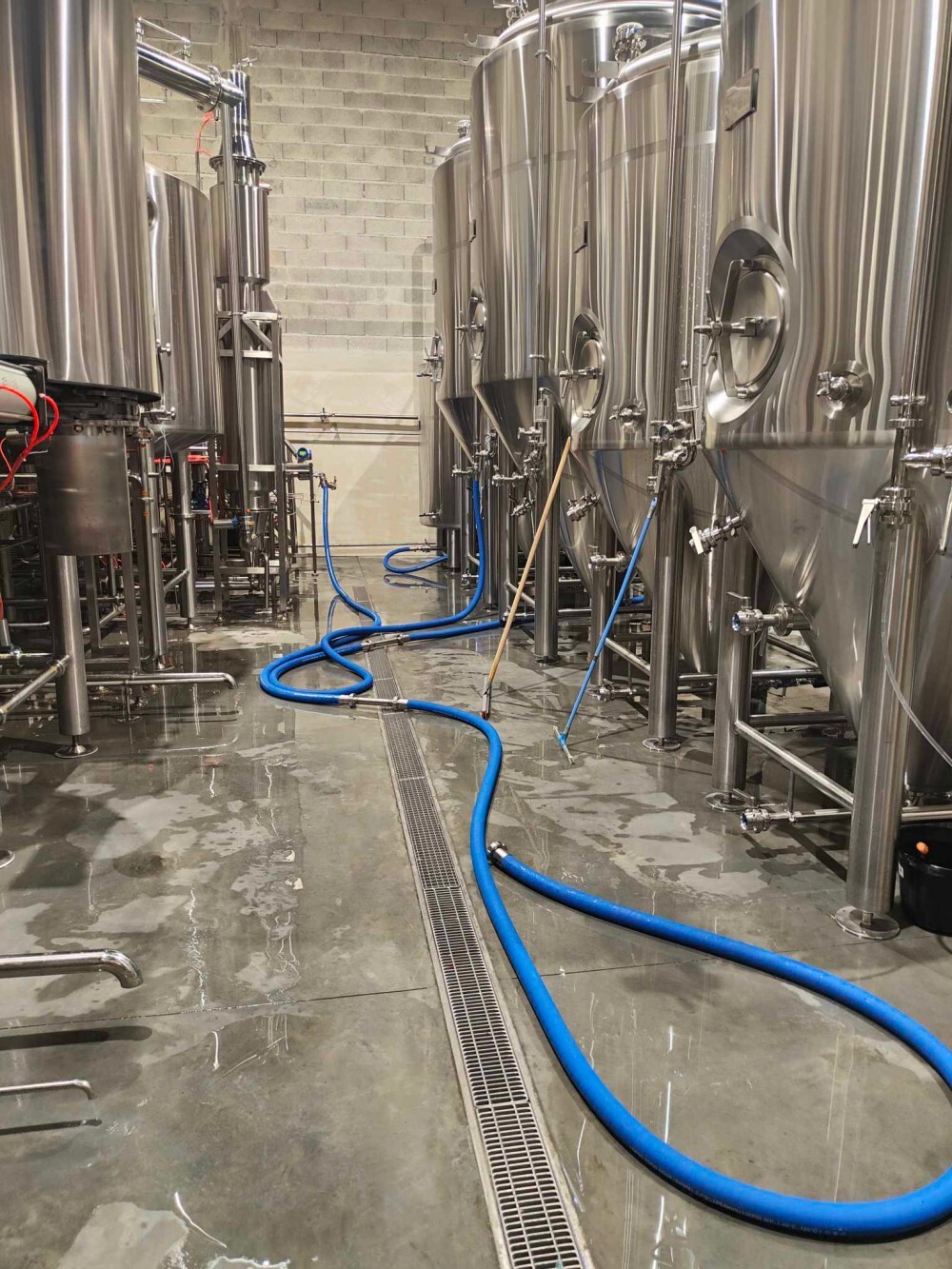 Manguera de cerveza alimentaria