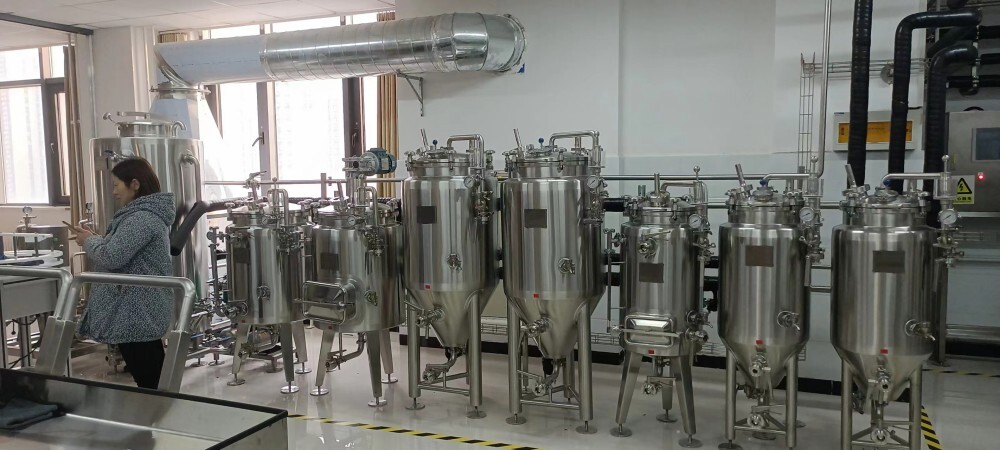 100L Experimental Brewing System