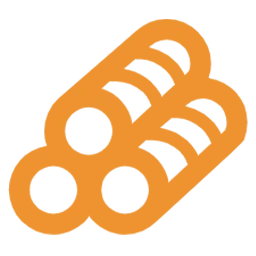 dss.png