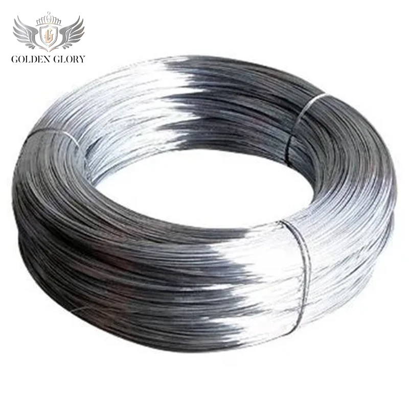 BWG20 21 22 Galvanized Steel Wires