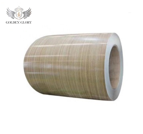 DC02  Color Coated Roll Coil