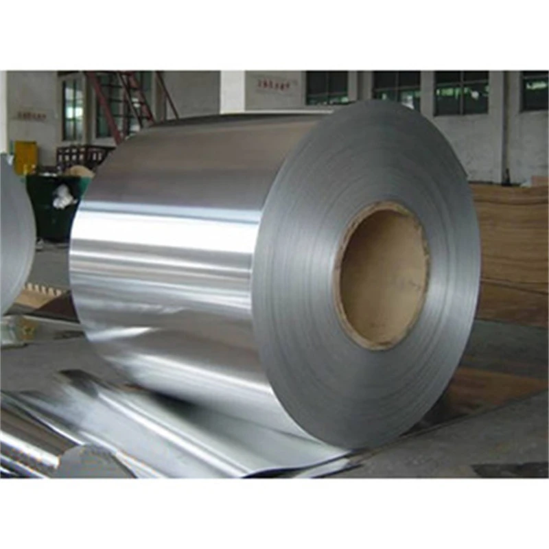 European Standard EN X5CrNi 18-10 Stainless Steel Coil 