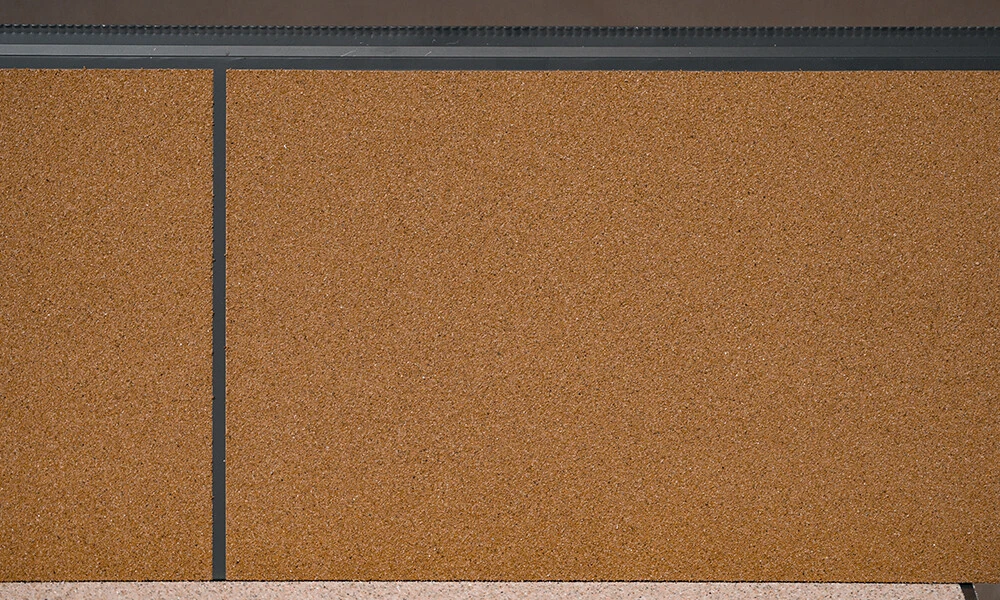 Brown DSC05174